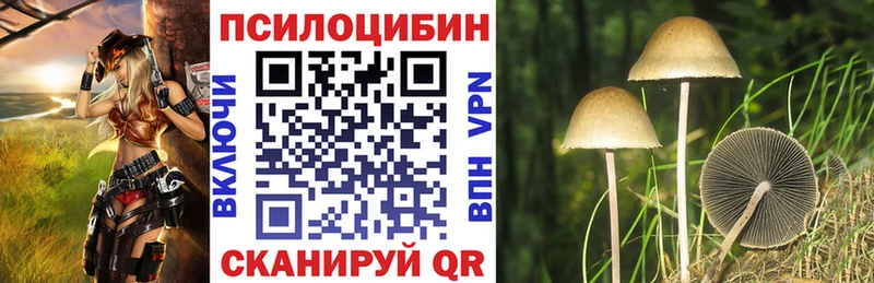 Галлюциногенные грибы Psilocybe  ОМГ ОМГ ссылка  Томилино 